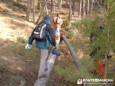 Caminando en las majadas; rutas por la sierra; excursiones sierra madrid